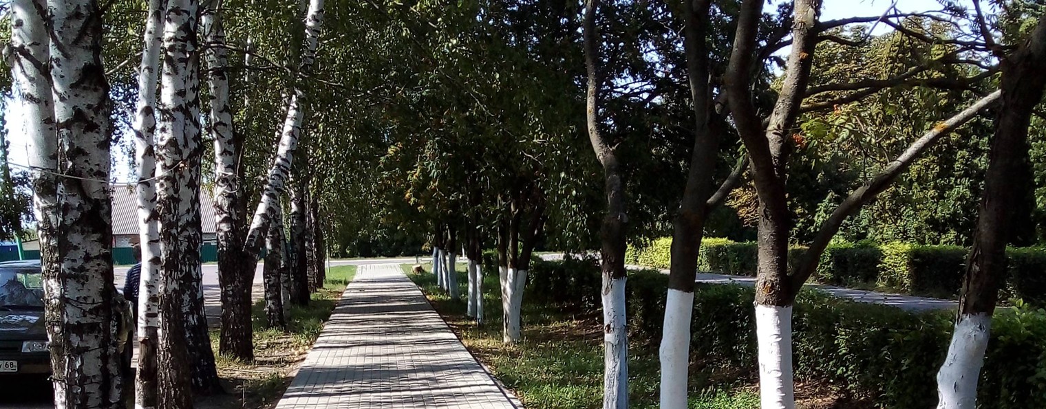 " В гостях у Ёжикова"