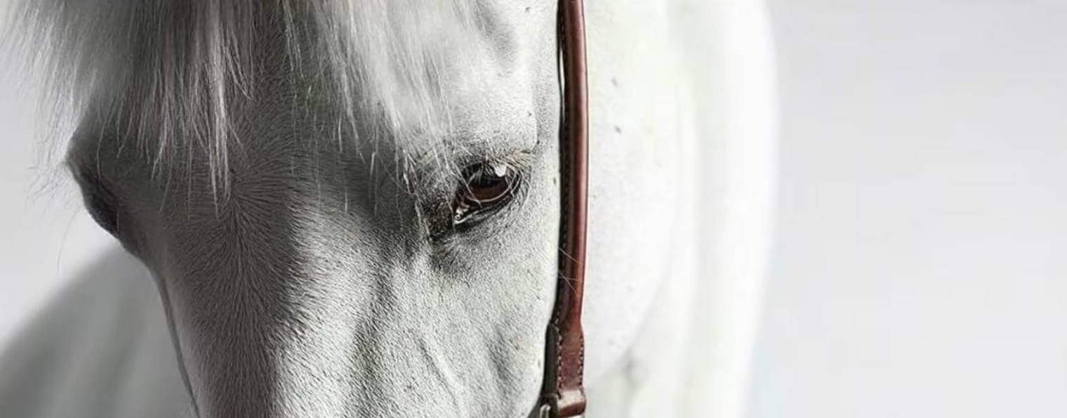 Бюро переводов Домодедово, ул. Зеленая 74 к.1