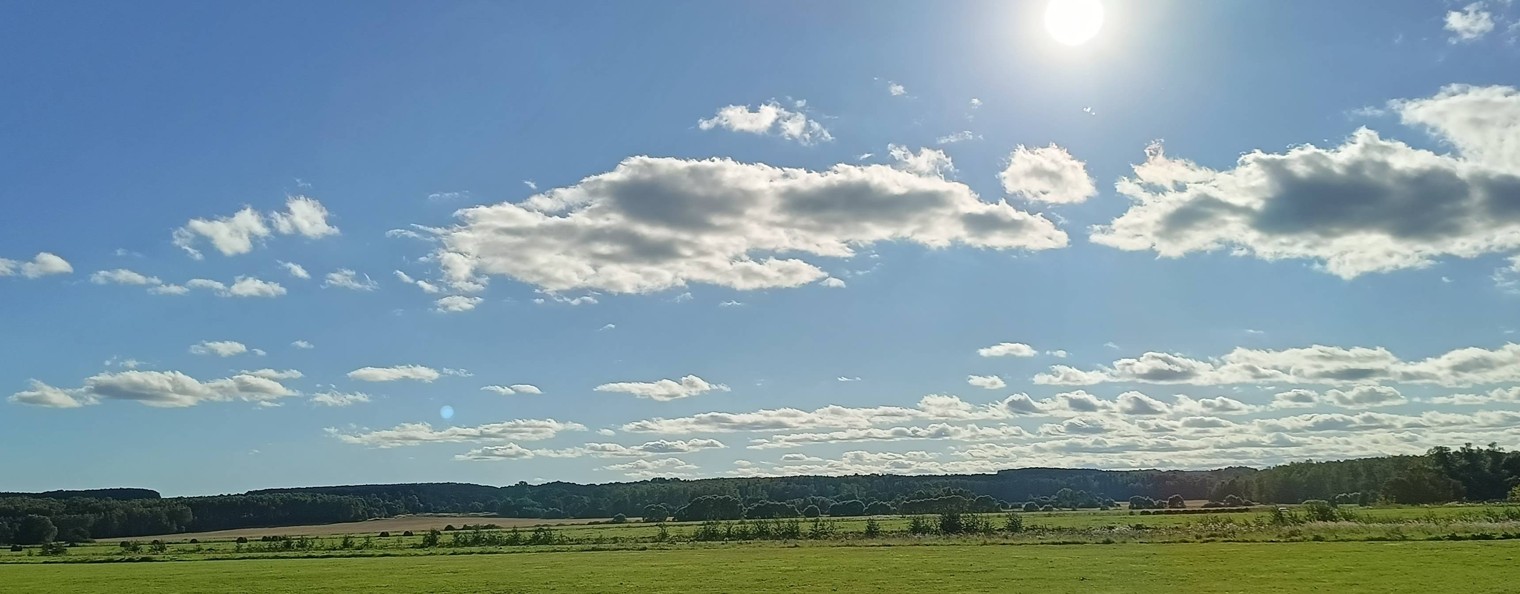 тем кто ищет