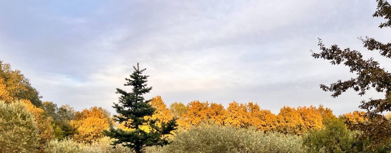 ЛуМиСта - Творческая мастерская