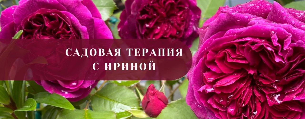 Садовая Терапия с Ириной