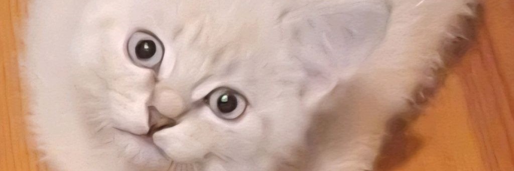 Пушистые истории