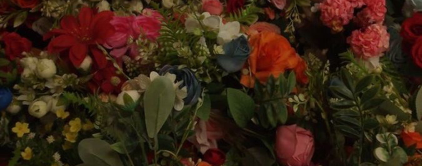 Елена Борунова