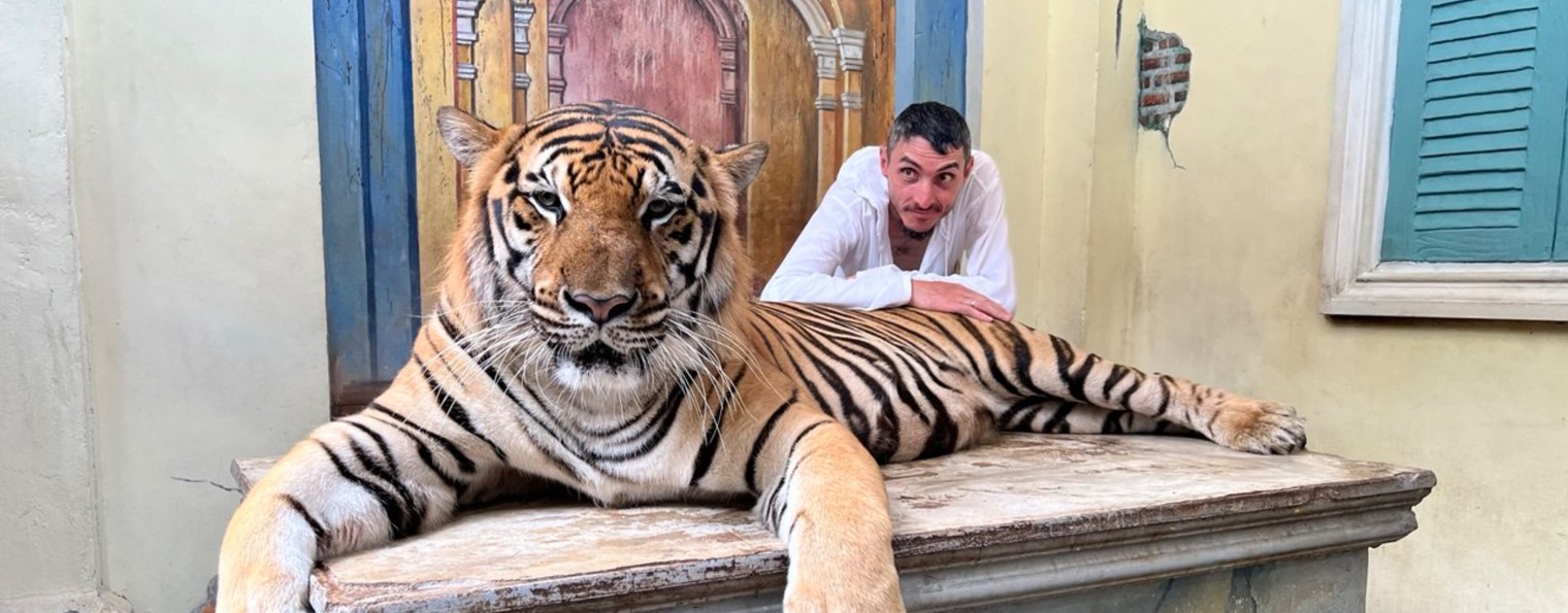 Что за Лев этот Тигр