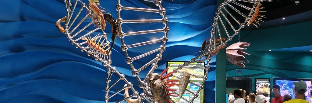 Ежедневник Марты