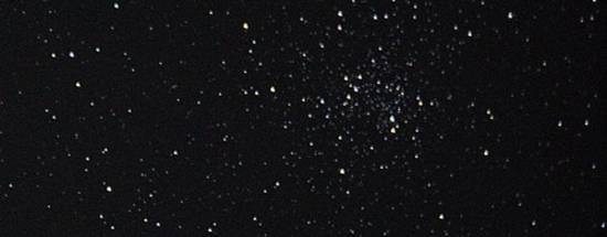 🎄Vladimir_Susanin❄️