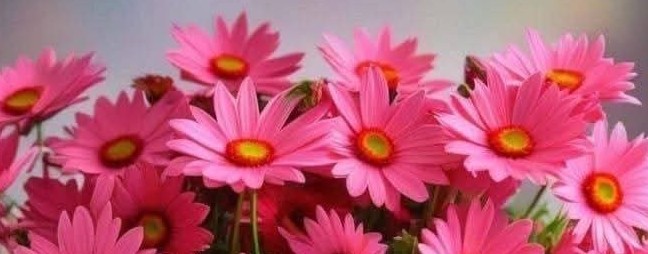 Селяночка. Валюша.