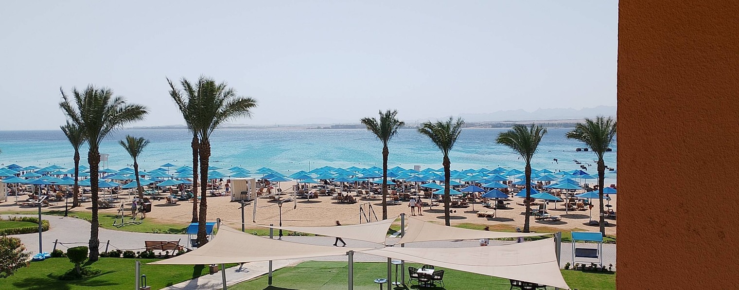 Светлана Федина