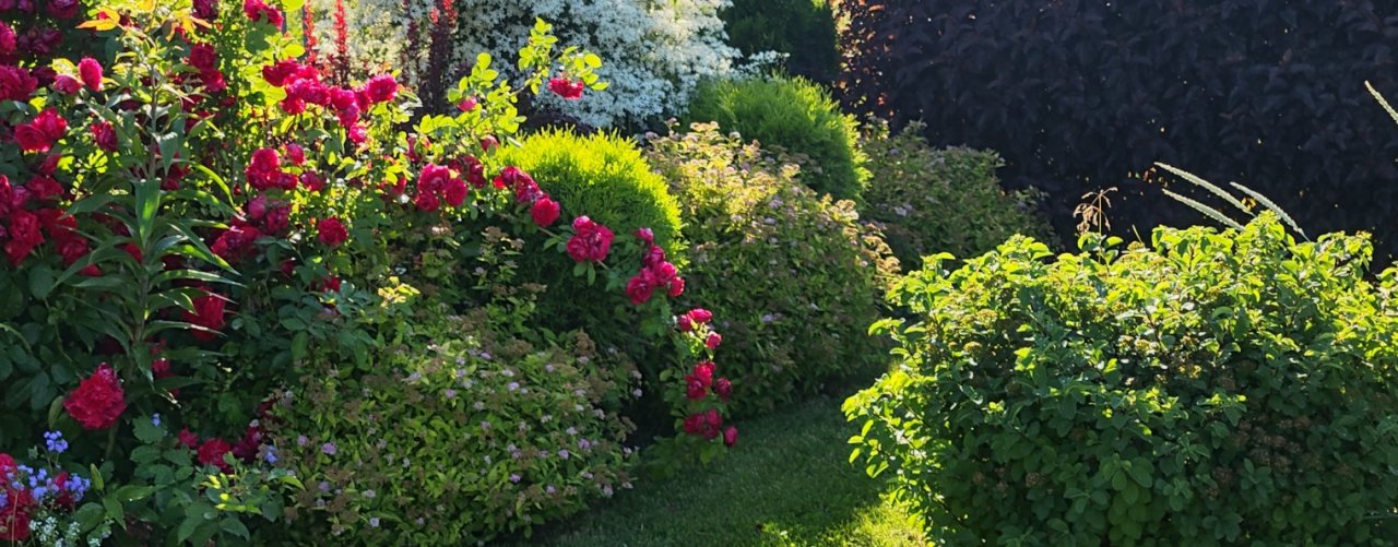 Малиновская_SAD