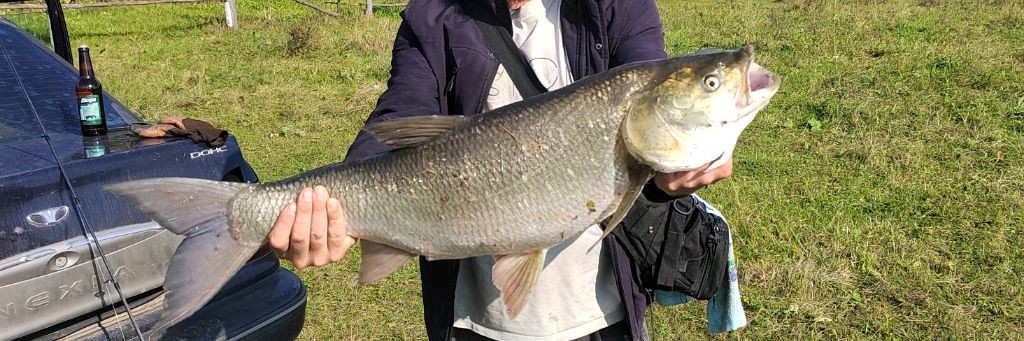 Фаиз Закиров