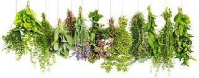 Календарь Здоровья