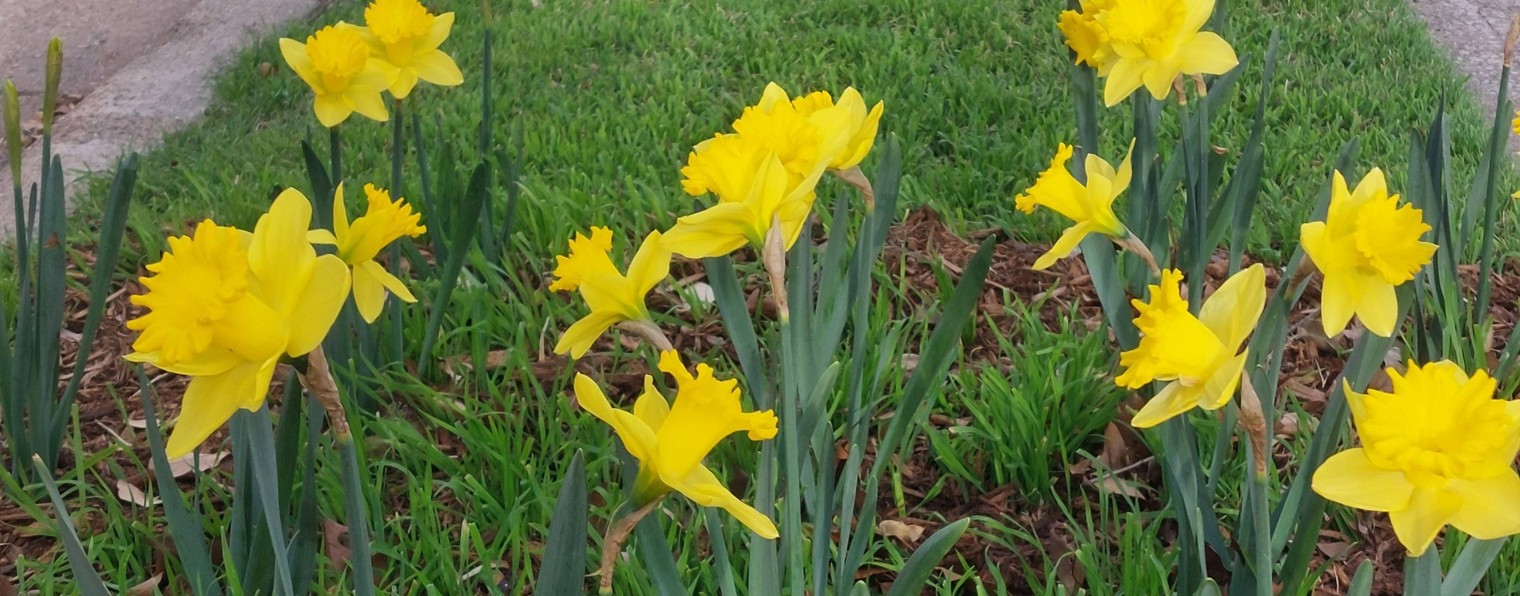 Наша счастливая жизнь