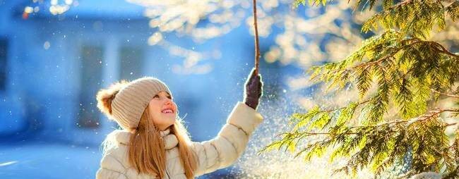 Комнатные растения Flowers & Вкус Жизни.