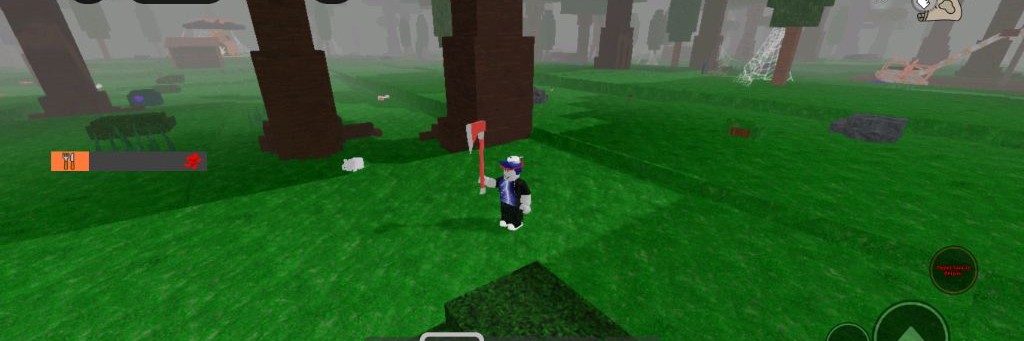 Серёжа и его любимый кот Салем. 🥇