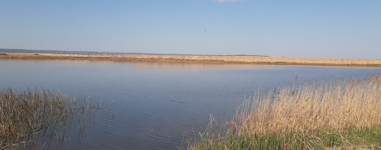 С вами Саша — в Мире IT, Техники и Рыбалки