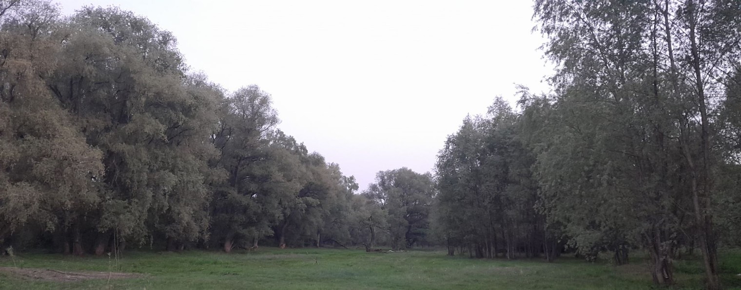 Дело в мелочах.