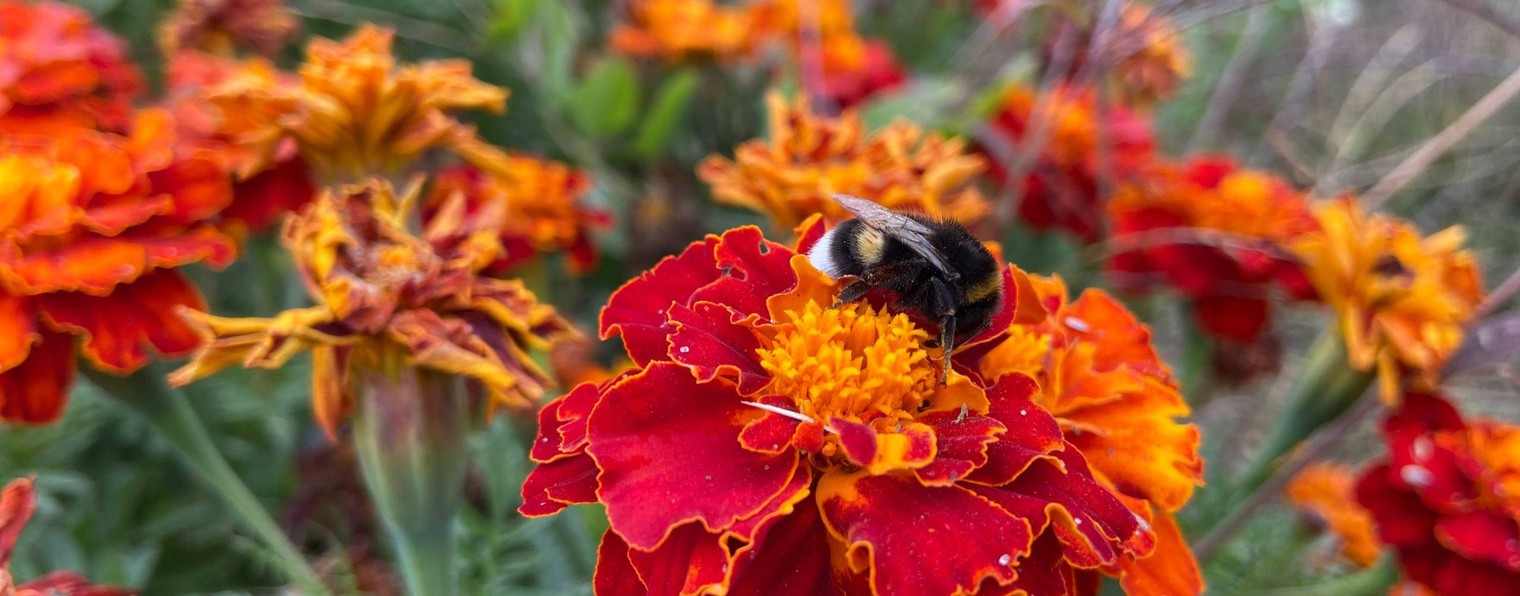 Маленький Дом У Реки