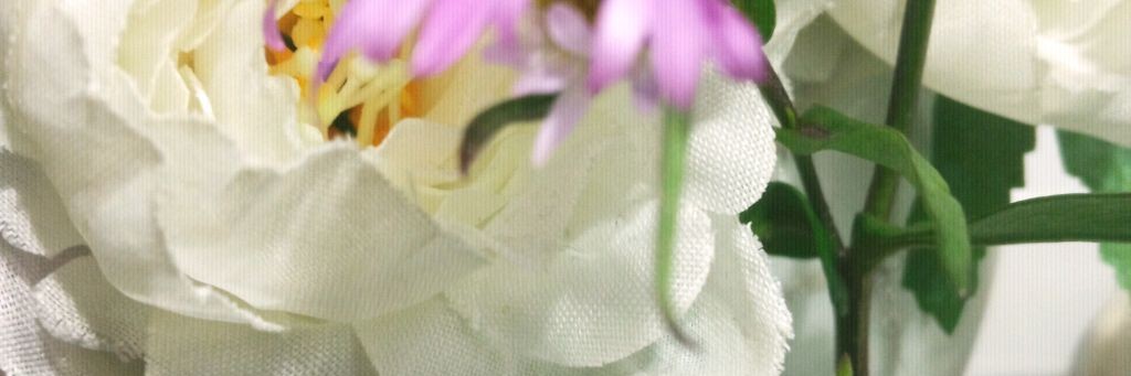 Кот БарСи...https://yappy.media/n/barsi1