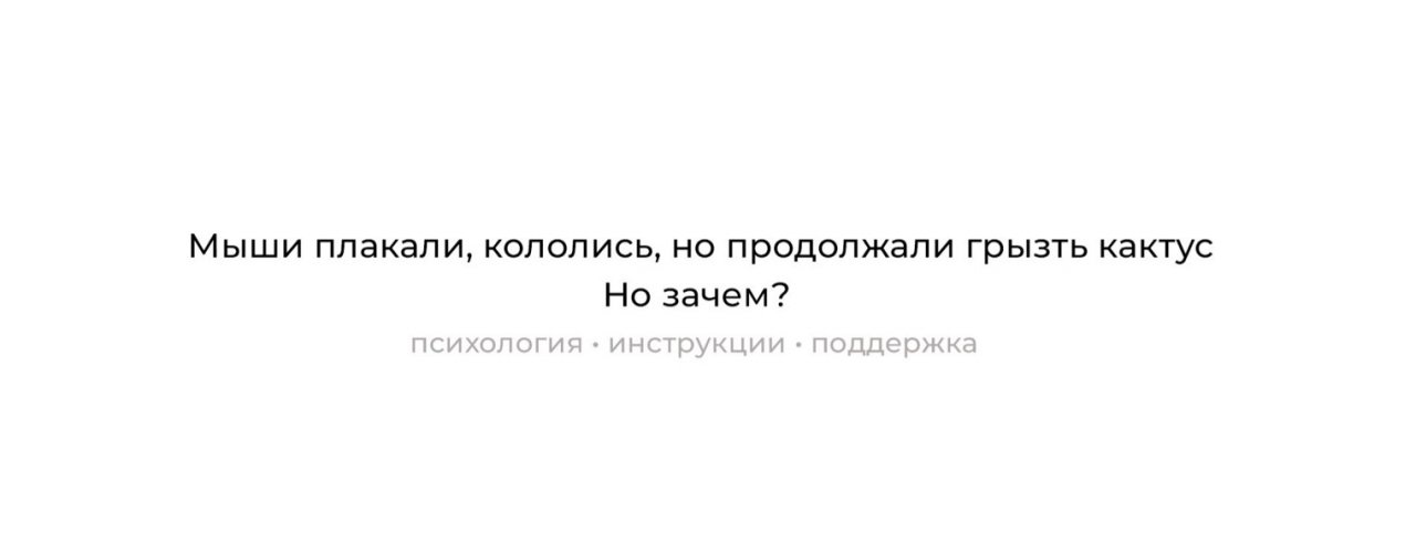 Не ешь кактус