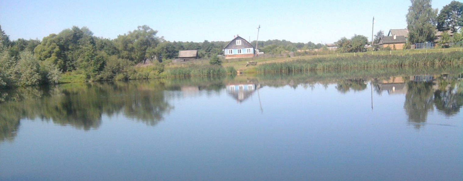 Поэт и песенник Нилова Светлана