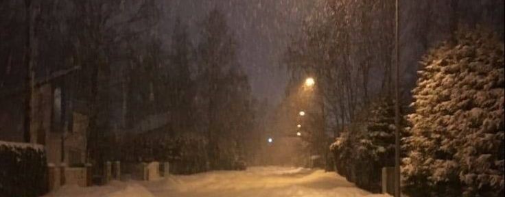 ↳ ♡₊˚.Рᥱᥔʍᥲ⛄