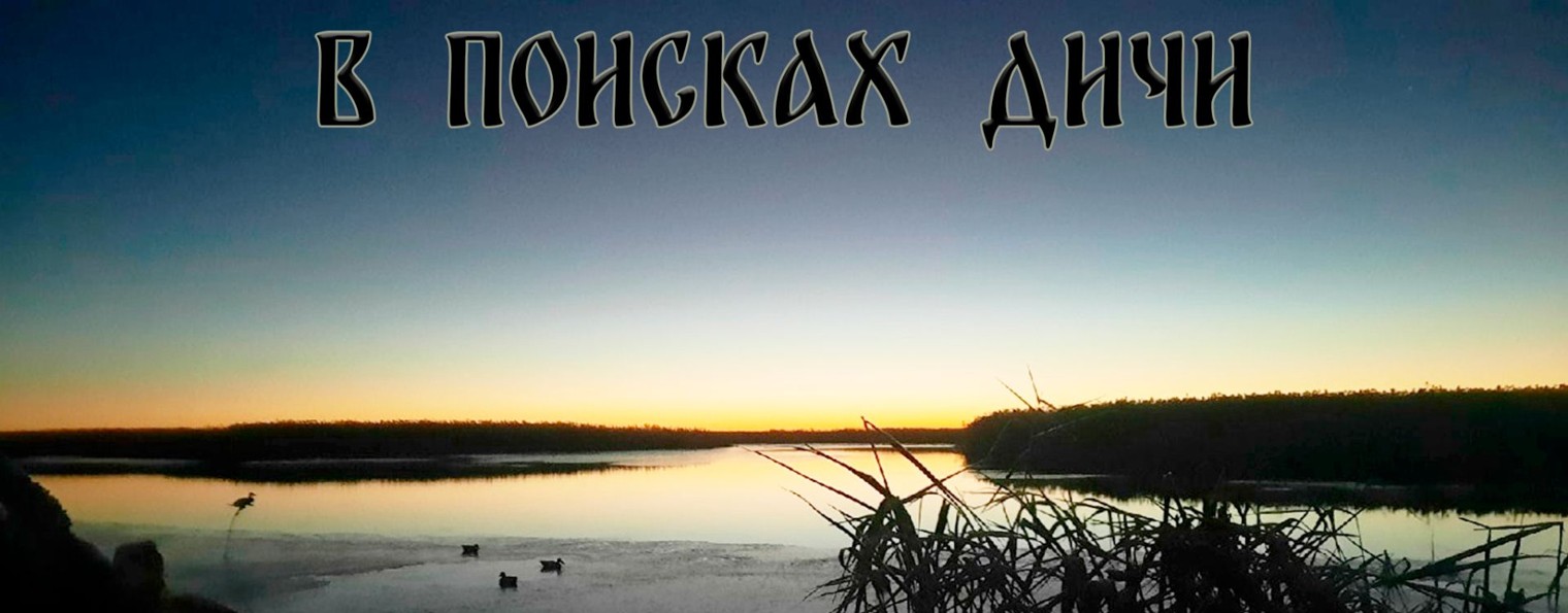 В поисках дичи "Астрахань"