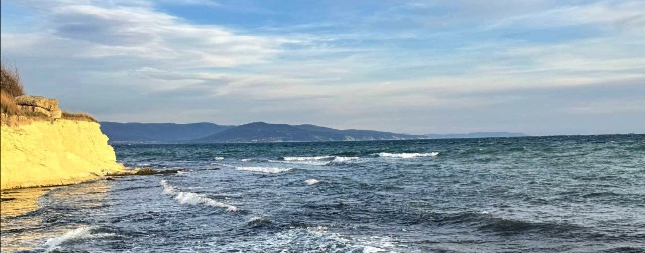 Заметки Арины Vlog