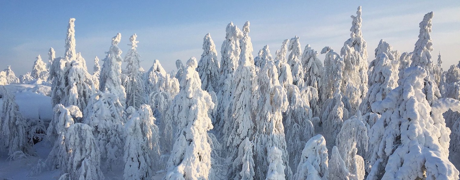 МАКС КУДРЯШОВ | ПУТЕШЕСТВИЕ ПО КРАЮ