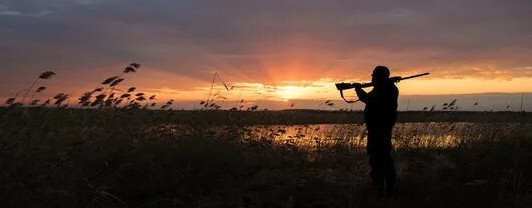 Сибирский Охотник 142