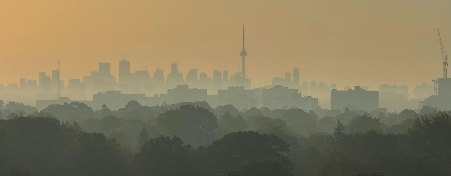 Канадские будни