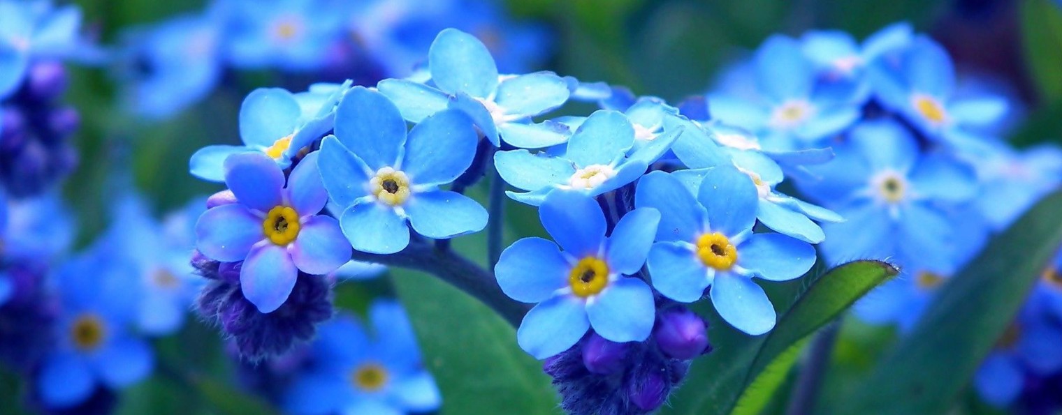 Irina Миру Мир