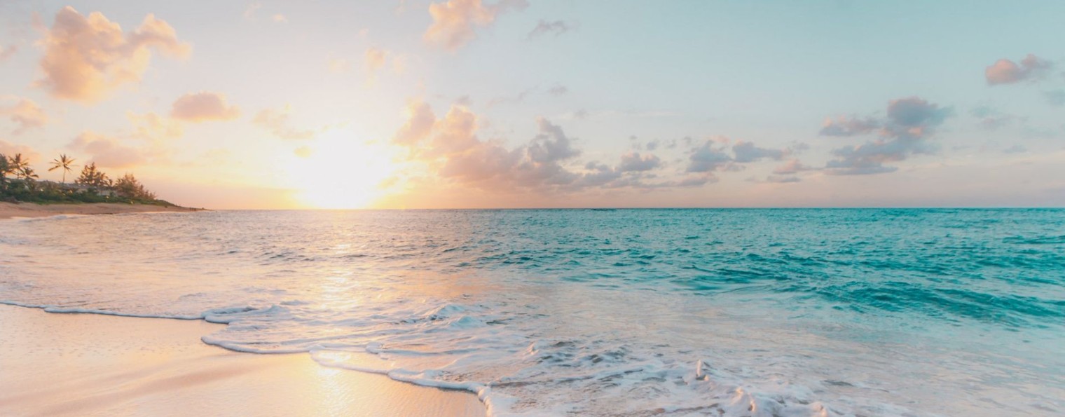 Y-MAD/ Биохакинг / Молодость / Здоровье