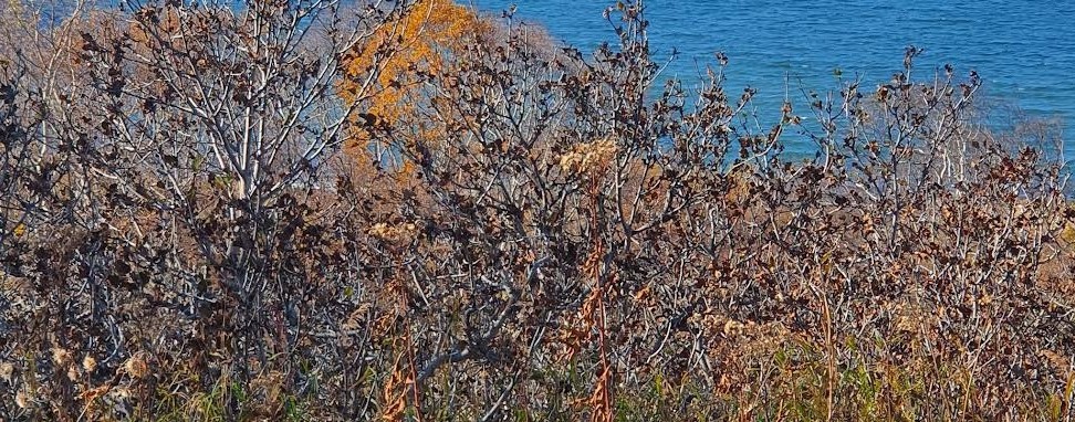 РыболовPro " Клёвое место" - всё о Всём