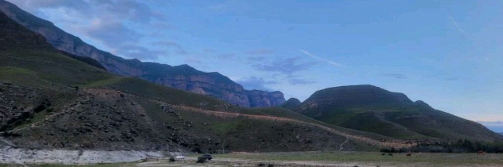 Тимур Валиев