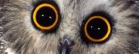 Антон Алекс Парфюм