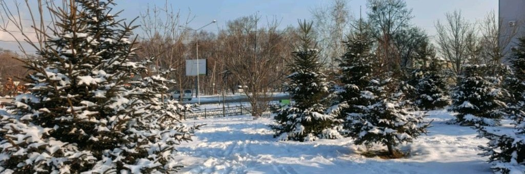 Для души-монтаж видео-роликов-Ольга ОК