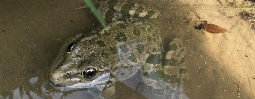 Всего понемногу