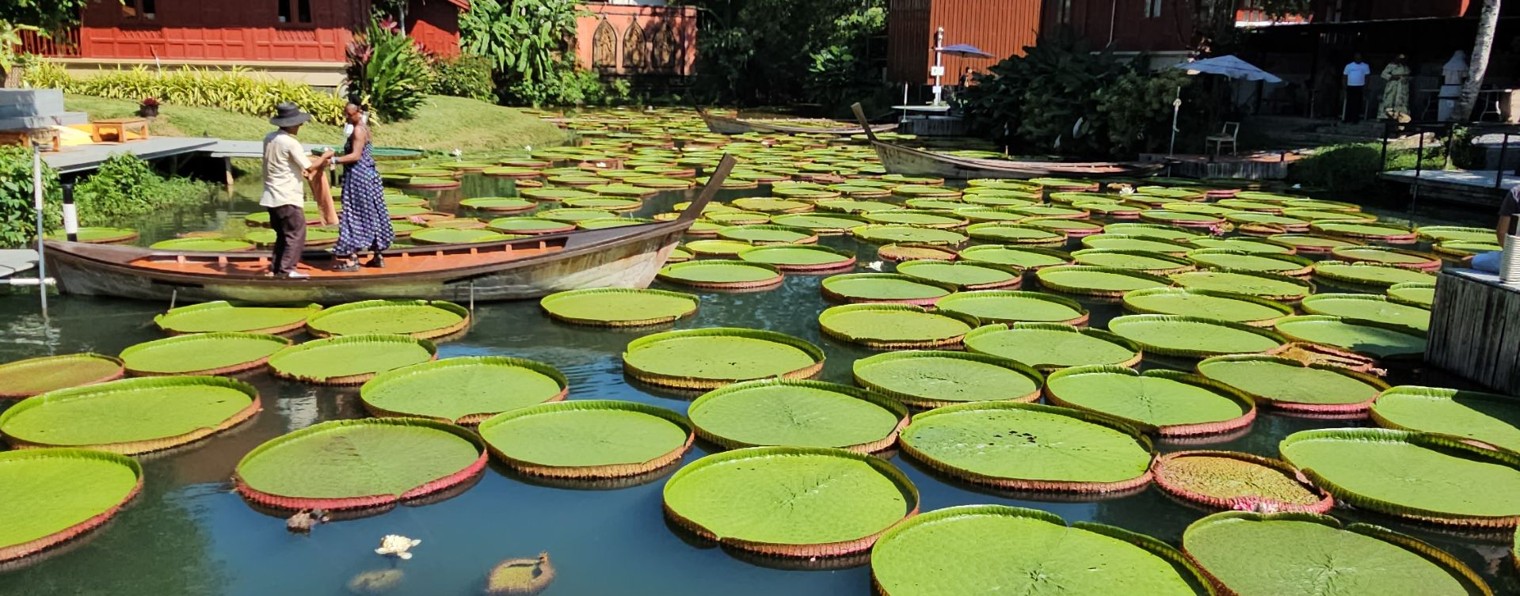 СЛАВА СЛАВИН