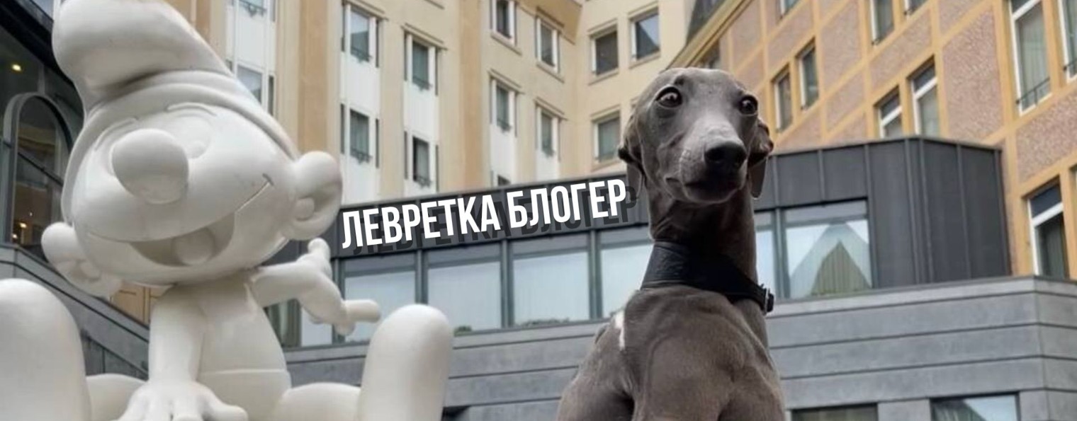 Твой друг Луиджи