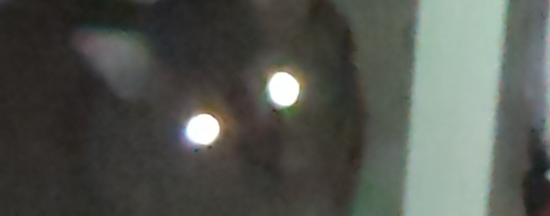 🤍Соня_ Dream❤