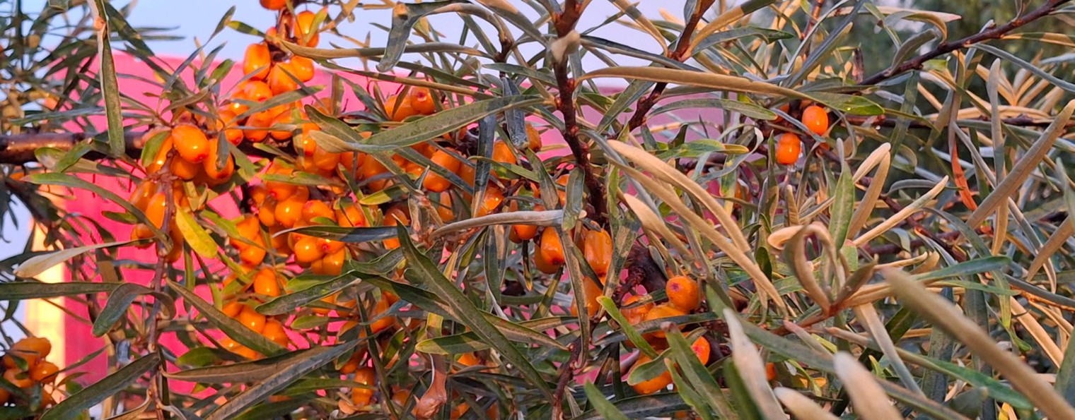 Вместе интересно