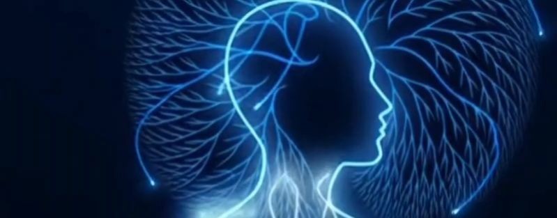 НейроТа ли Я🧠🌴