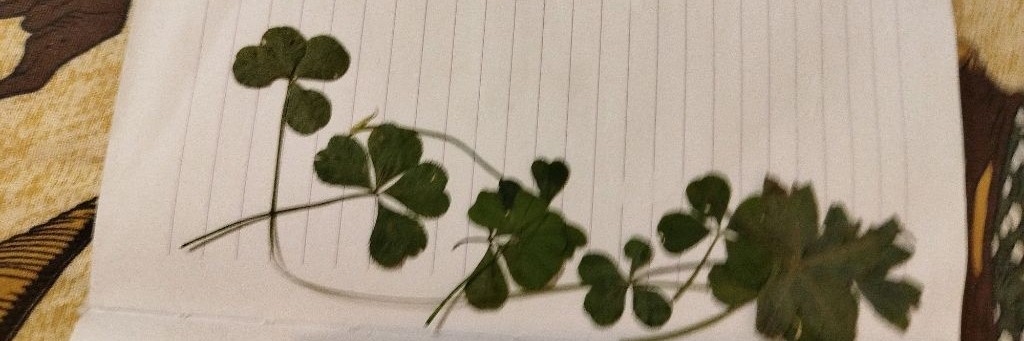 🎄TheRedDoctor (➋ ✖ ➋ ✖ ➋ ✖ ➋/НГ/🎄