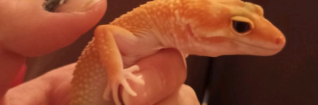 куклы 16 См. Алиса