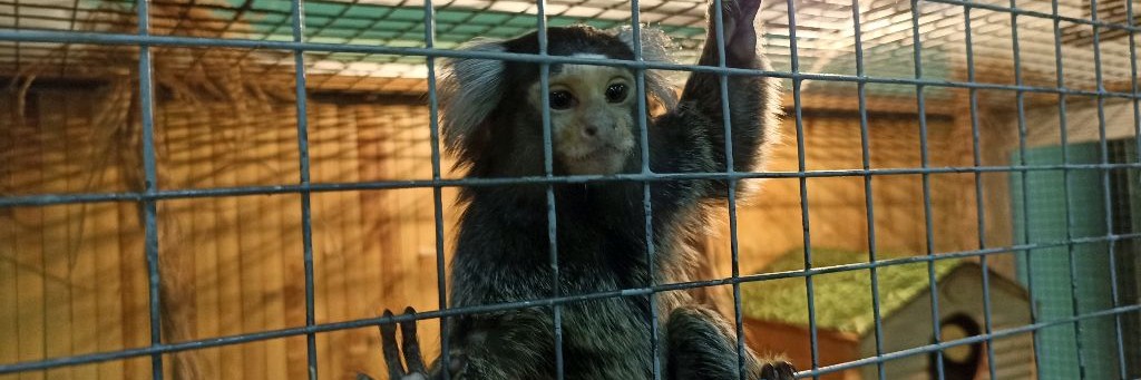 𝓟𝓸𝓻𝓸𝓼𝓮𝓷𝓸𝓴 𝚃𝚅