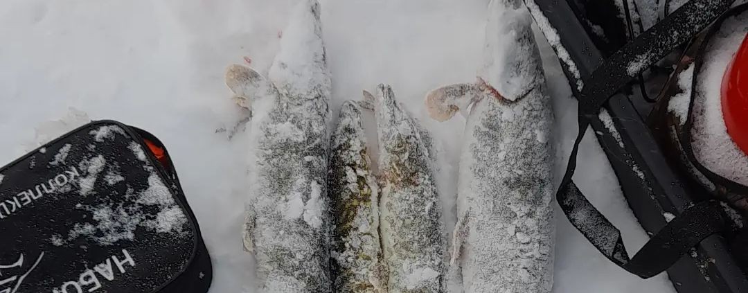 Обычная жизнь на Урале 🙂