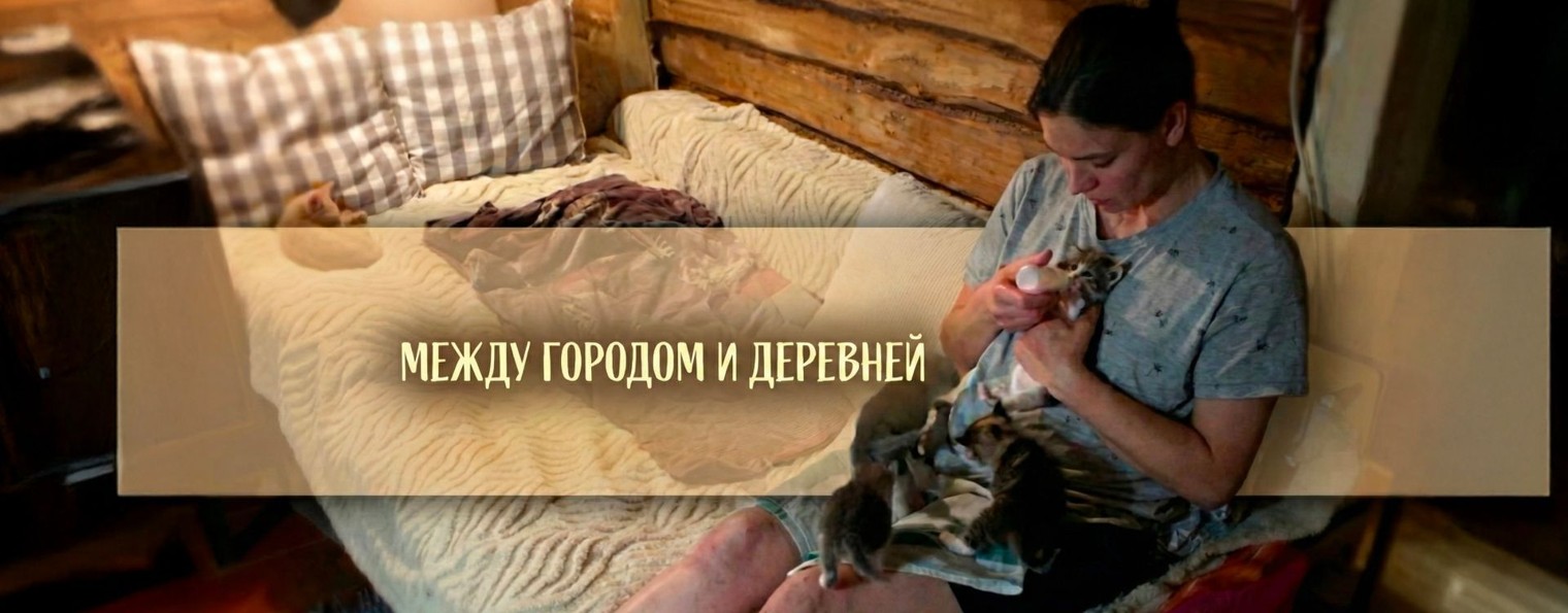 Дневник кочевого кошатника