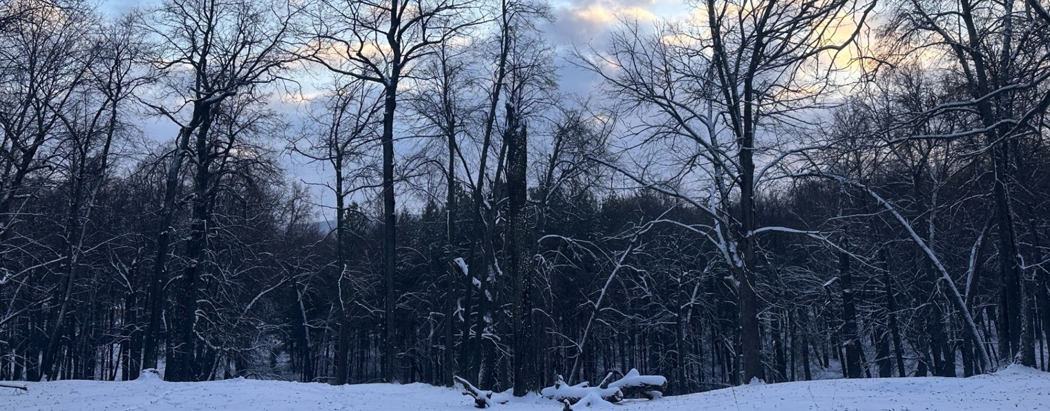 Копилка Самоценности на Rutube