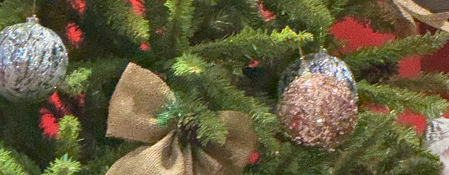 Пономарева Елена