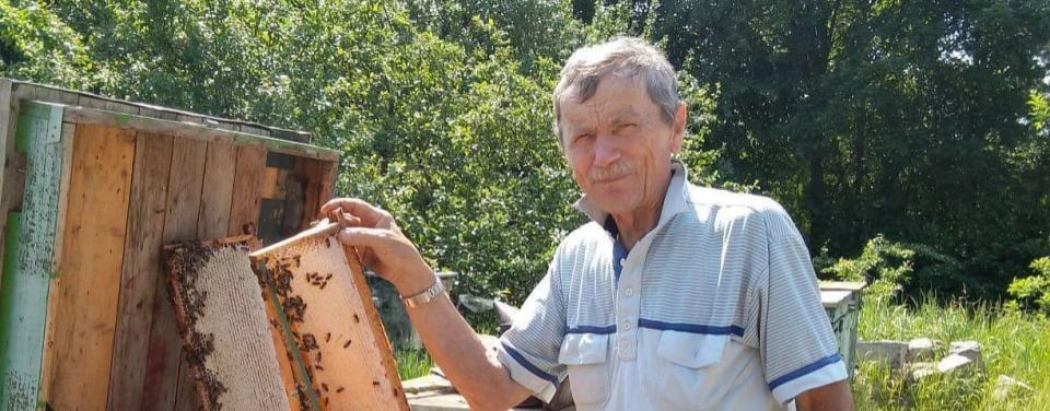 Работа  улетевших  роёв ! Это  надо  видеть